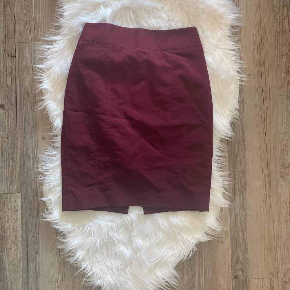Express Pencil Skirt